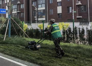 海康威视园区绿化养护